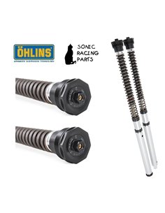 FKS 509 CARTUCHO OHLINS NIX 30 + MUELLES BMW R NINET 2014 2016