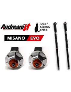 105/A11E CARTRIDGE ANDREANI MISANO EVO APRILIA RS 660 (KAYABA 41) 2020 2023